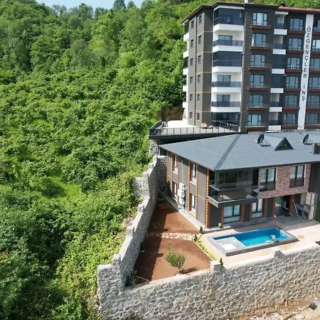 Villa 5+1 With Pool, Near Sea, 10 Person, Arakli Trabzon